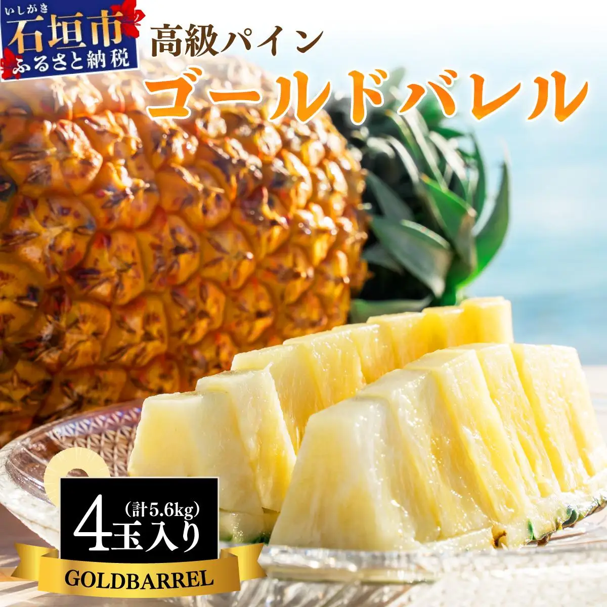 ＜先行予約＞ 石垣島産 中玉ゴールドバレル４玉 約5.6kg 　SI-115