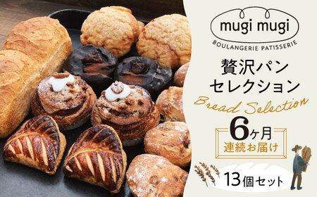 【全6回定期便】贅沢パンセレクション13個セット[APCI006] パン 詰め合わせ