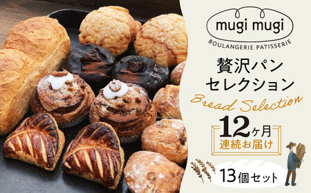 【全12回定期便】贅沢パンセレクション13個セット[APCI007] パン 詰め合わせ