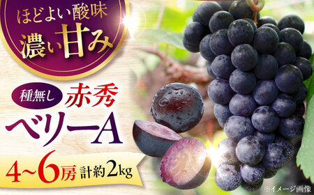 【2026年先行予約】ぶどう ＜9月上旬から順次発送＞ ベリーA 2kg [APCK005] ぶどう