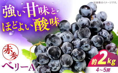 ぶどう ベリーA 2kg 赤秀 [APCM011] ぶどう