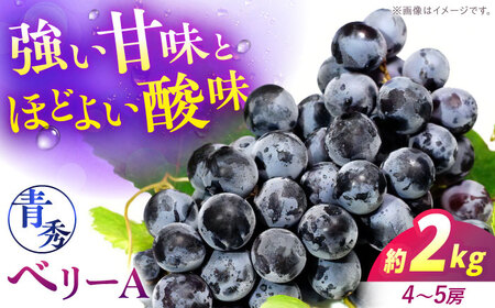 ぶどう ベリーA 2kg 青秀 [APCM012] ぶどう