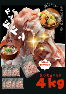 A1-0440／【訳あり】鹿児島県産 豚肉 切り落とし 4kg（500g×8P）
