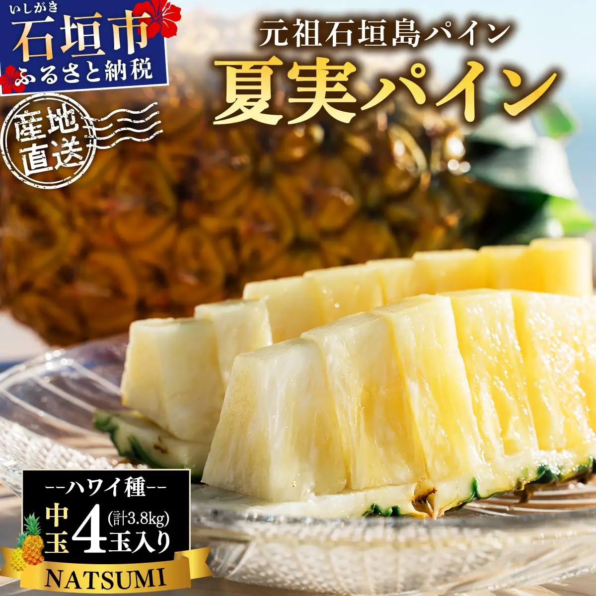 夏実パイン 中玉4玉 約3.8kg