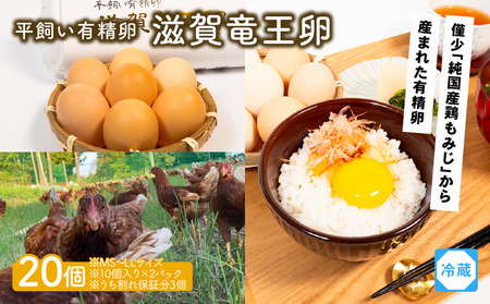 平飼い有精卵 滋賀竜王卵 20個 ※割れ保証計3個 ( こんもり盛り上がるプルプルな卵白 滋賀竜王卵 新鮮 平飼い 卵 純国産 鶏もみじ 大人気 たまご 鶏卵 卵黄 エッグ 希少 たまごかけ ご飯 玉子 タマゴ 玉子焼き たまご焼き すき焼き 鶏 ケーキ 産地直送 国産 滋賀県 竜王町 ふるさと納税 )                        