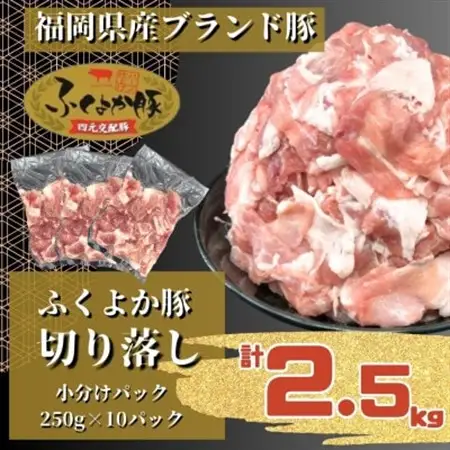 ふくよか豚切り落し2.5kg(250g×10パック)【配送不可地域：離島】【1566229】