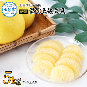【先行予約】厳選 温室土佐文旦 5kg (7?8玉）〈2026年11月下旬から発送〉/文旦 ぶんたん ブンタン 土佐文旦 ハウス栽培 甘い  柑橘 フルーツ 果物 ご当地 お取り寄せ【土佐文旦の藤岡】 [BQBJ002]