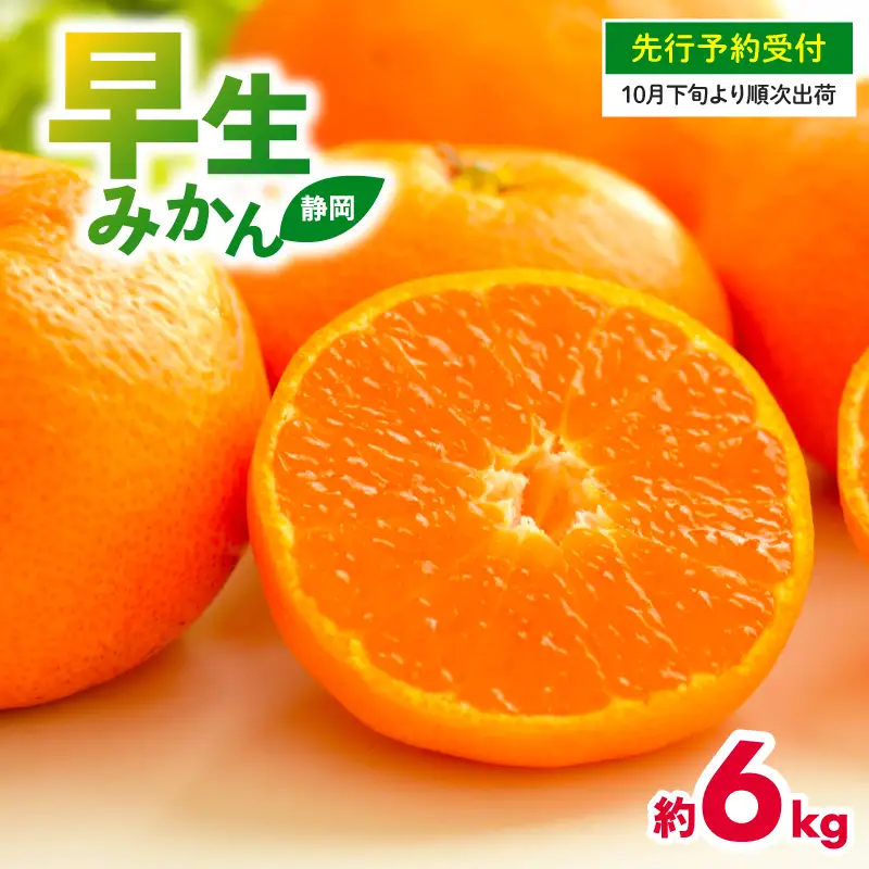【先行予約】 2026年度産 みかん  早生 みかん 6kg  10月下旬発送