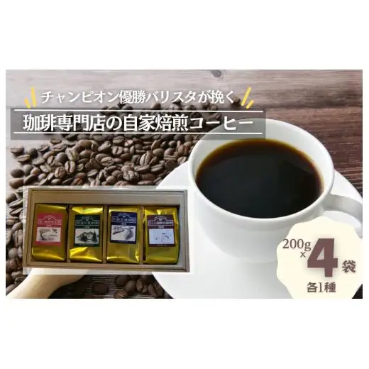 ジャパンバリスタチャンピオンシップ優勝者のいる珈琲専門店の自家焙煎コーヒー（レギュラー・袋）【つくば市×牛久市×龍ケ崎市×利根町共通返礼品】