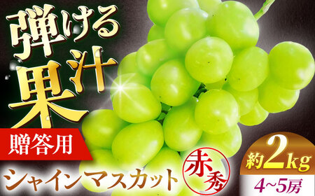 シャインマスカット 2kg [APCM003] シャインマスカット