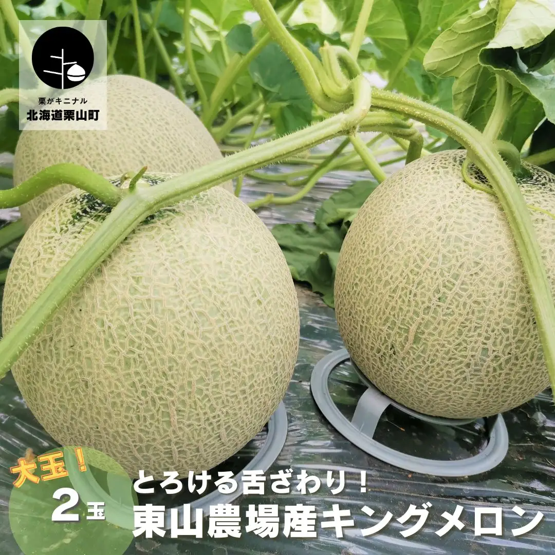 【大玉】とろける舌触り！東山農場産キングメロン 2玉