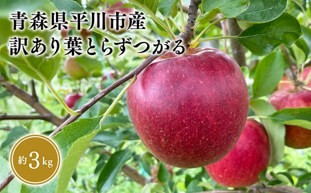 ≪2026年8月下旬頃より発送≫青森県産 訳あり つがる 約3kg【青森県 平川市 なるみ農園】家庭用 訳アリ 青森 青森県産 平川 りんご リンゴ 林檎 くだもの 果物 フルーツ ［hi-0036-002］