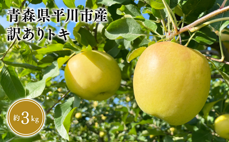 ≪2026年9月中旬頃より発送≫青森県産 訳あり トキ 約3kg【青森県 平川市 なるみ農園】家庭用 訳アリ 青森 青森県産 平川 りんご リンゴ 林檎 くだもの 果物 フルーツ［hi-0036-003］ 