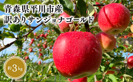 【レビューキャンペーン】≪2026年10月中旬頃より発送≫訳あり サンジョナゴールド 約3kg 青森県平川市産[hi-0036-004]
