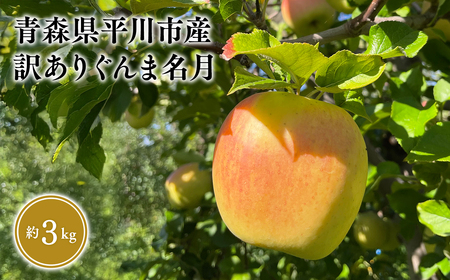 【レビューキャンペーン】≪2026年10月下旬頃より発送≫ 訳あり ぐんま名月 約3kg 青森県平川市産[hi-0036-005]