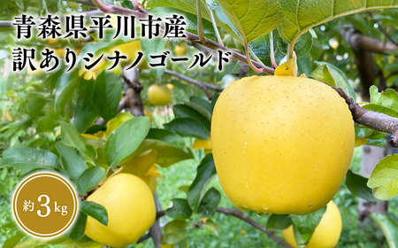 ≪2026年12月上旬頃より発送≫青森県産 訳あり シナノゴールド 約3kg【青森県 平川市 なるみ農園】家庭用 訳アリ 青森 青森県産 平川 りんご リンゴ 林檎 くだもの 果物 フルーツ［hi-0036-006］ 