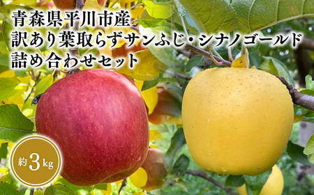 【レビューキャンペーン】≪2026年12月上旬頃より発送≫ 訳あり 葉とらずサンふじ・シナノゴールド 詰め合わせセット 約3kg 青森県平川市産[hi-0036-008]