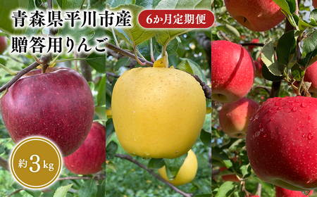 ≪2026年8月下旬頃より発送≫青森県産 贈答用りんご 6か月定期便 約3kg【青森県 平川市 なるみ農園】贈答 贈答規格 青森 青森県産 平川 りんご リンゴ 林檎 くだもの 果物 フルーツ ［hi-0036-011］