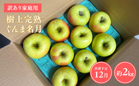 【レビューキャンペーン】≪令和8年産先行受付≫家庭用 樹上完熟ぐんま名月約2㎏ 青森県平川市産[hi-0038-018]