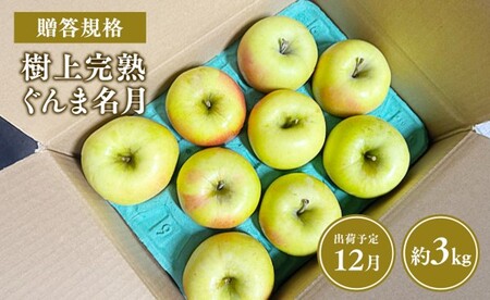 【レビューキャンペーン】≪令和8年産先行受付≫贈答用 樹上完熟ぐんま名月約3㎏ 青森県平川市産[hi-0038-021]