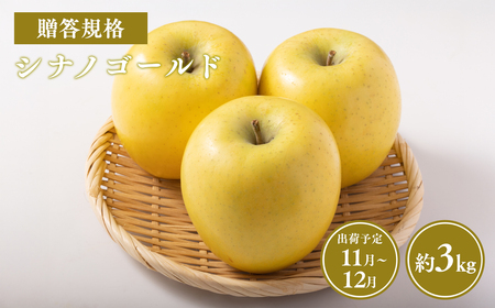 【レビューキャンペーン】≪令和8年産先行受付≫贈答用シナノゴールド約3kg 青森県平川市産[hi-0038-033]