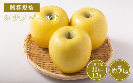 【レビューキャンペーン】≪令和8年産先行受付≫贈答用シナノゴールド約5kg 青森県平川市産[hi-0038-035]