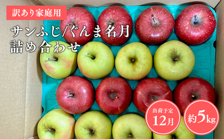 【レビューキャンペーン】≪令和8年産先行受付≫家庭用 サンふじ/ぐんま名月 詰め合わせ約5㎏ 青森県平川市産[hi-0038-038]