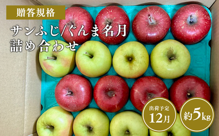 【レビューキャンペーン】≪令和8年産先行受付≫贈答用 サンふじ/ぐんま名月 詰め合わせ約5㎏ 青森県平川市産[hi-0038-039]