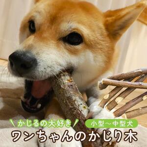 かじるの大好き　ワンちゃんのかじり木（小型～中型犬） | 犬 おもちゃ