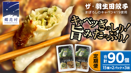 【 定期便 3ヶ月 】 まぼろしのキャベツ419使用 ザ・羽生田餃子 15個 × 2パック 計 30個 × 3回 ( 合計 90個 ) [AL016tu] 
