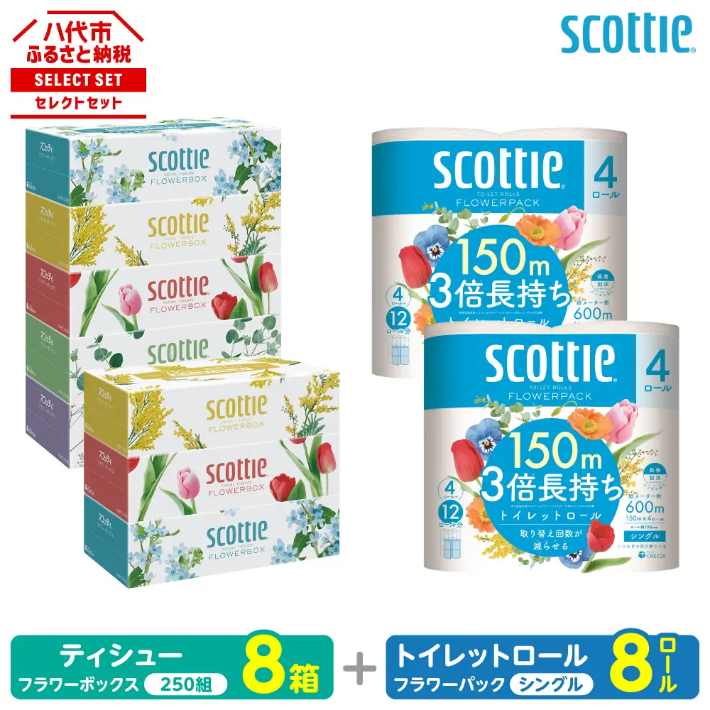 トイレットペーパー シングル 8ロール ＋ ティッシュ 8箱 セット スコッティ ティッシュ トイレット
