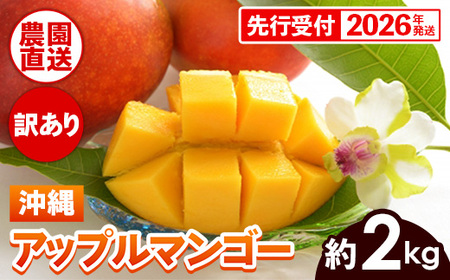 【先行受付】【2026年発送】ヤマト農園 アップルマンゴー訳あり約2kg（4～6玉）- 先行予約 沖縄県産 産地直送 南国フルーツ 旬の味覚 季節の果物 ご自宅用 訳アリ 沖縄マンゴー 沖縄県 八重瀬町【価格改定】