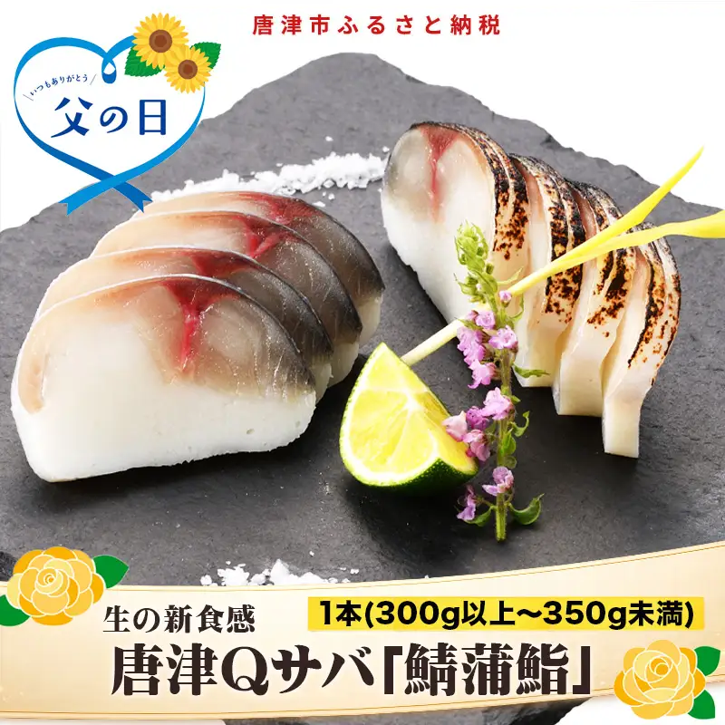 「父の日」生の新食感 唐津Qサバ「鯖蒲鮨」1本(300g以上～350g未満) さば 蒲鉾 かまぼこ おつまみ ギフト 鯖 サバ 唐津 Qサバ 鯖鮨 呼福 大志 水産 魚 海鮮 水産加工