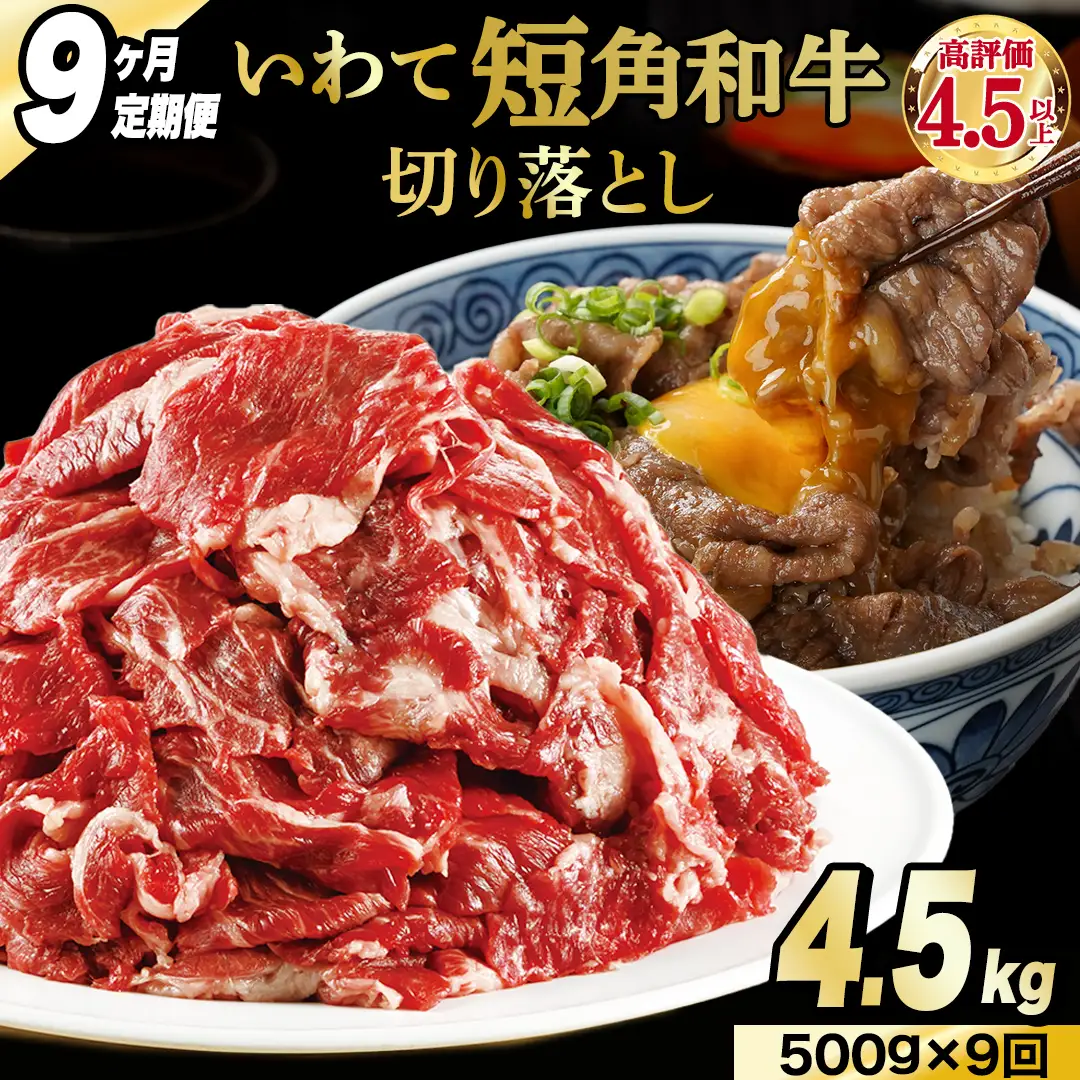 ＼9ヶ月連続 定期便／ 切り落とし 赤身 肉 牛肉 いわて 短角和牛 500g (総計 4,500g) 小分けパック 真空冷凍 | 牛肉 肉 赤身 短角 和牛 国産牛 ブランド牛 切り落し 大容量 牛丼 肉じゃが 煮込み 煮物 小分け 真空パック 数量限定 (AB118)