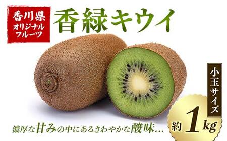 【先行予約2026年12月～2027年3月頃お届け】香緑キウイ (小玉サイズ) 約1kg フルーツ 果物 くだもの キウイ 香緑 小玉 デザート キウイフルーツ 食品 名産 四国 1万円 F5J-917