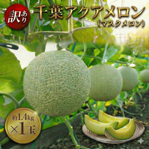 【約1.4kg×1玉】訳あり千葉アクアメロン（マスクメロン）大玉