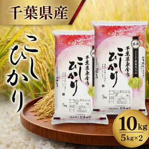 【令和7年産】 千葉県産 コシヒカリ 10kg (5kg×2袋) | 米 こめ お米 コメ IW  