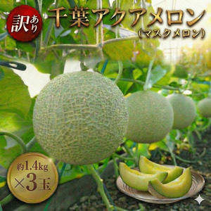 【約1.4kg×3玉】訳あり千葉アクアメロン（マスクメロン）