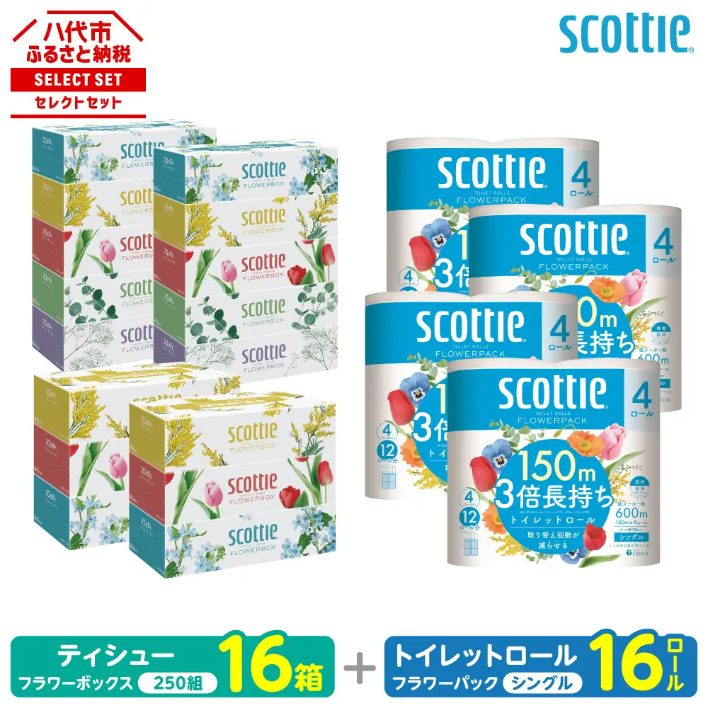トイレットペーパー シングル 16ロール ＋ ティッシュ 16箱 セット スコッティ ティッシュ トイレット