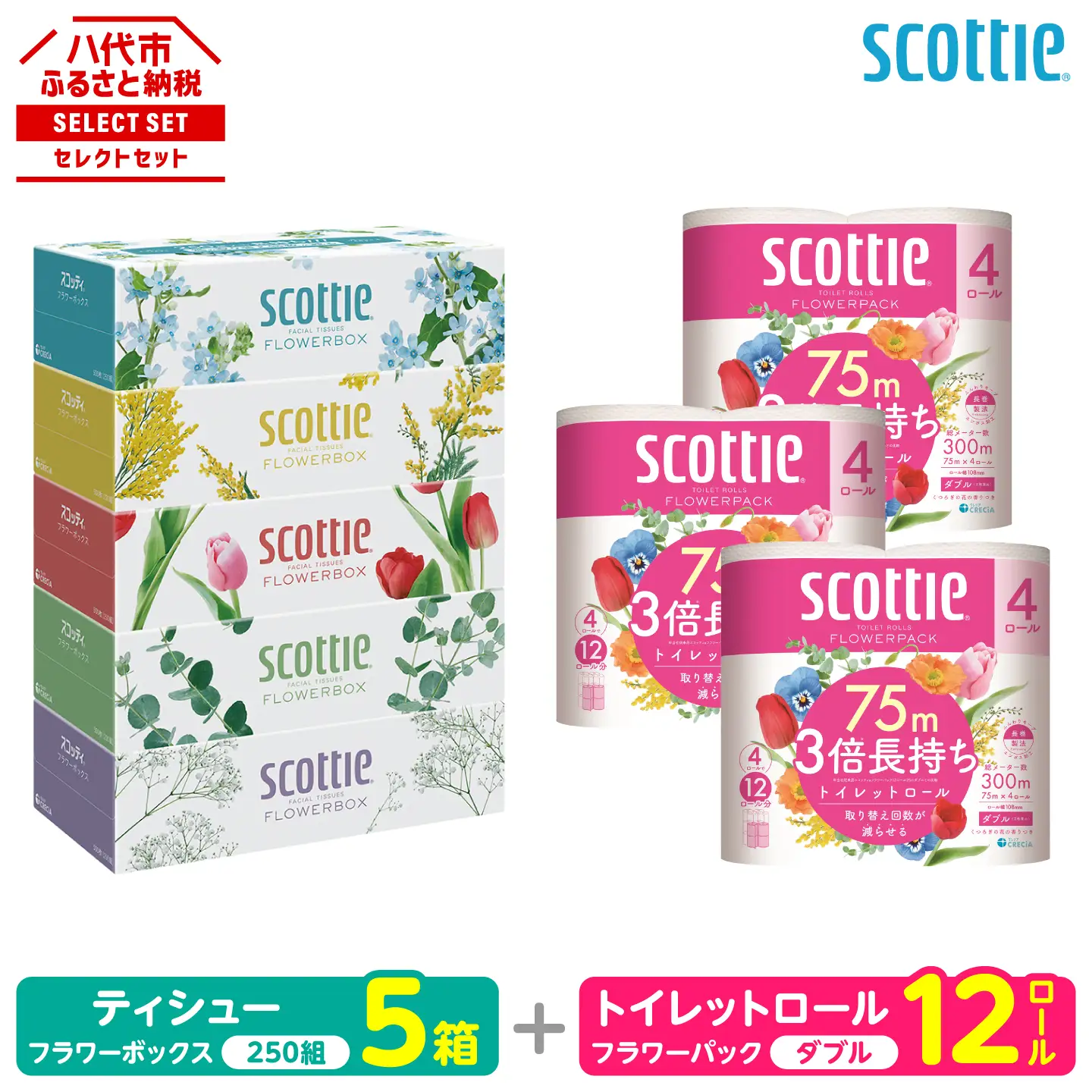 トイレットペーパー ダブル 12ロール ＋ ティッシュ 5箱 セット スコッティ ティッシュ トイレット