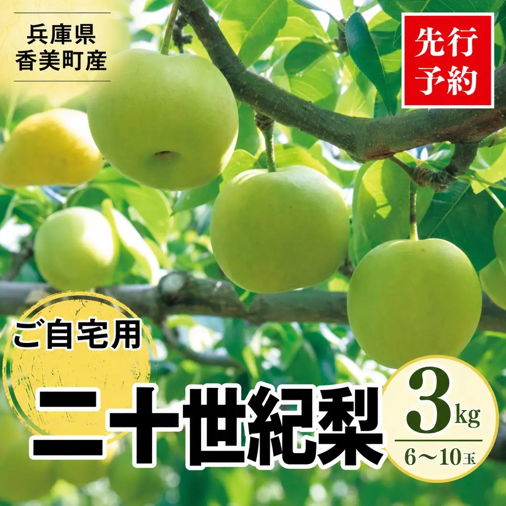 【2026年産 先行予約】 梨 二十世紀梨 香住梨 3kg ご自宅用 優品（Bランク）L～5Lサイズ混合6～10玉【令和8年8月下旬以降発送予定】20世紀梨 青梨 和梨  76-03