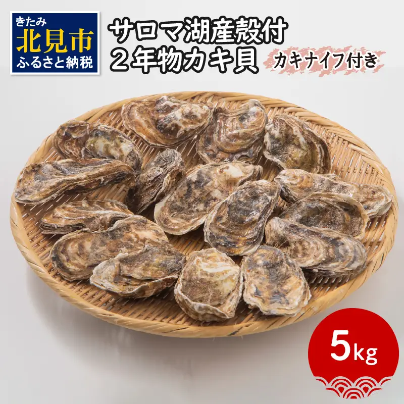 【予約：2026年10月より順次発送】【カキナイフ付】海のミルク サロマ湖産 殻付2年物カキ貝 5kg 35～50個入 ( 海鮮 魚介 魚介類 貝 貝類 カキ 牡蠣 贈答 ギフト BBQ バーベキュー )【031-0018-2026】