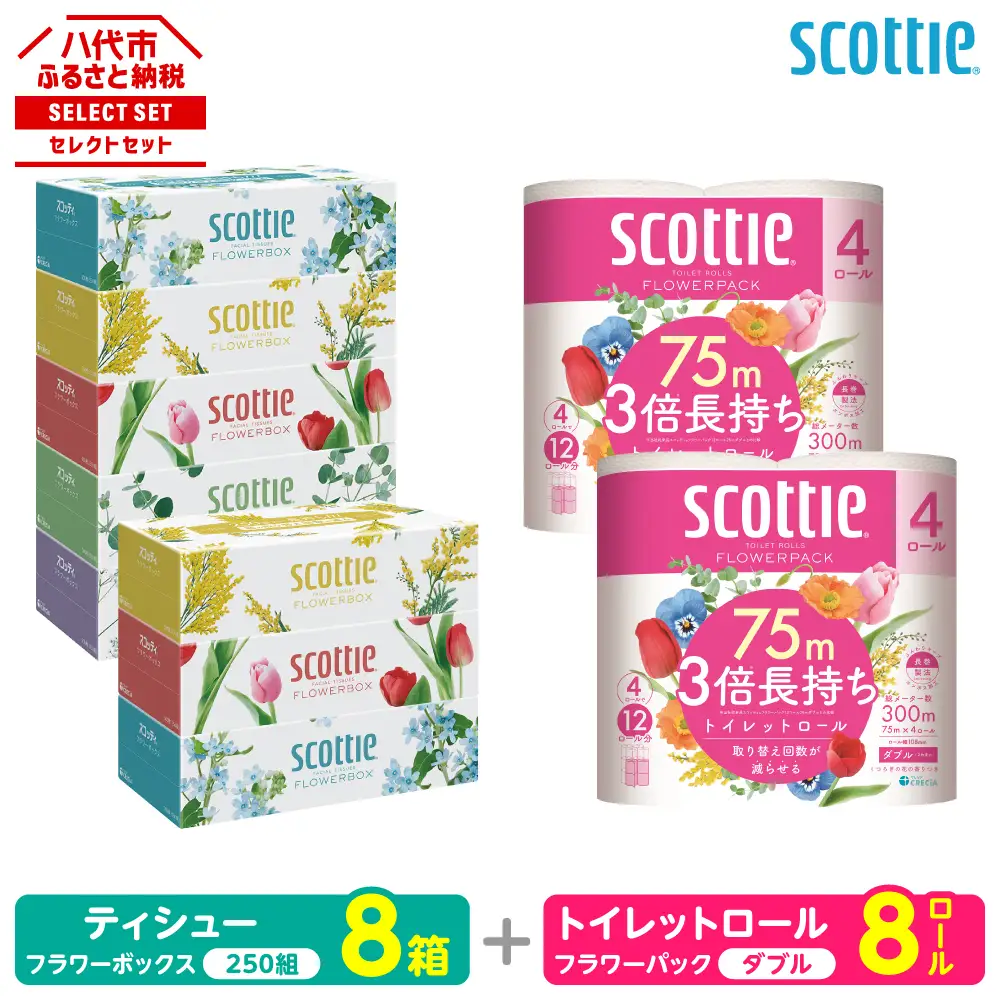 トイレットペーパー ダブル 8ロール ＋ ティッシュ 8箱 セット スコッティ ティッシュ トイレット