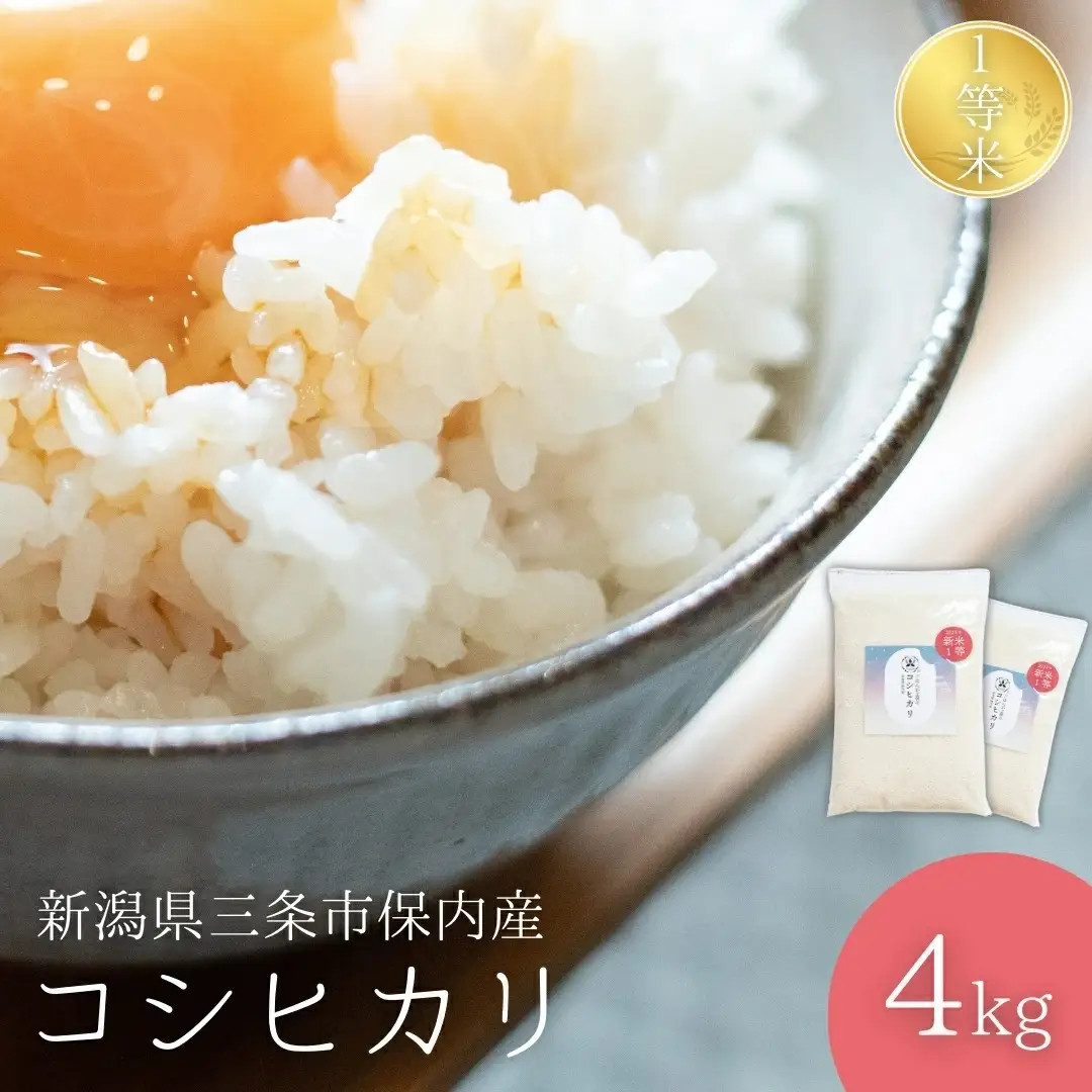新潟県産コシヒカリ 1等米 4kg(2kg×2袋) 2025年産コシヒカリ 三条市保内産こしひかり 精米 白米 令和7年産 米 【012S135】