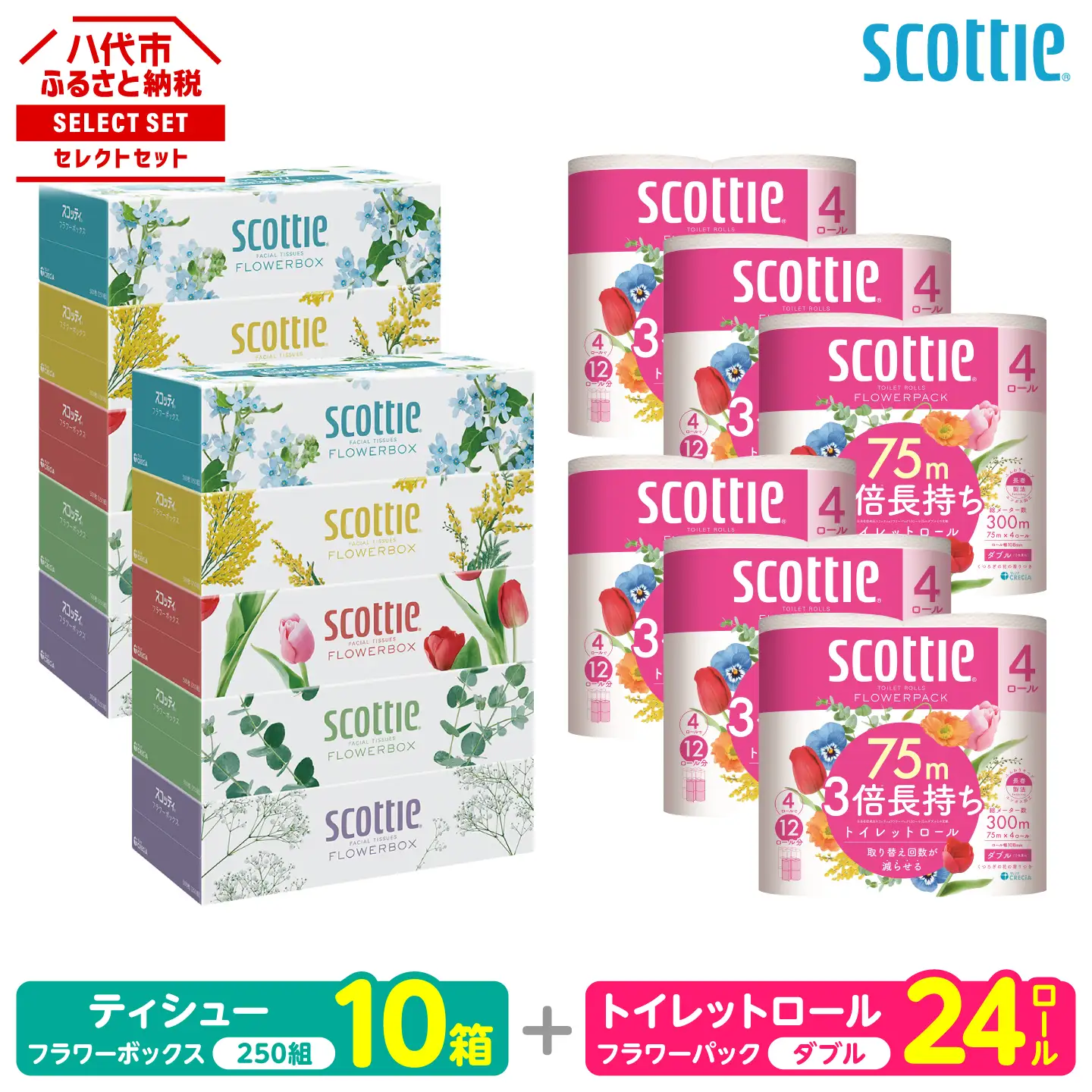 スコッティ 組み合わせ トイレットペーパー ダブル 24ロール ティッシュ 250組 10箱 ティシュー トイレットロール