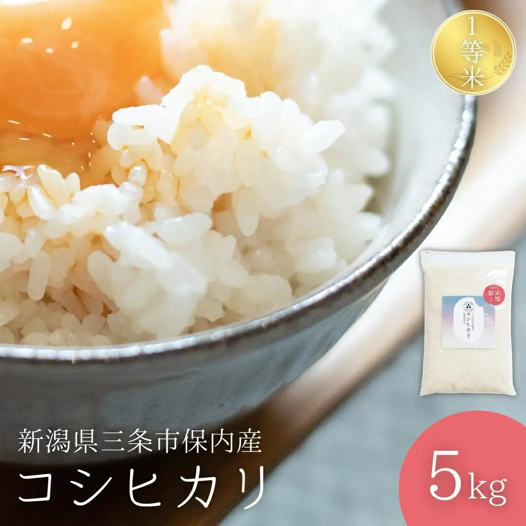 新潟県産コシヒカリ 1等米 5kg 2025年産コシヒカリ 三条市保内産こしひかり 精米 白米 令和7年産 米 【013S132】