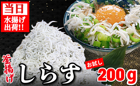 しらす 釜揚げ 200g お試し 5月~12月中旬発送 しらす