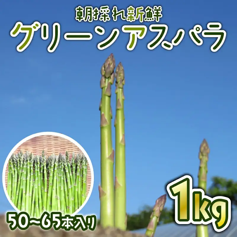 《令和8年産先行予約》朝取りアスパラ 1kg アスパラガス  hoshino001