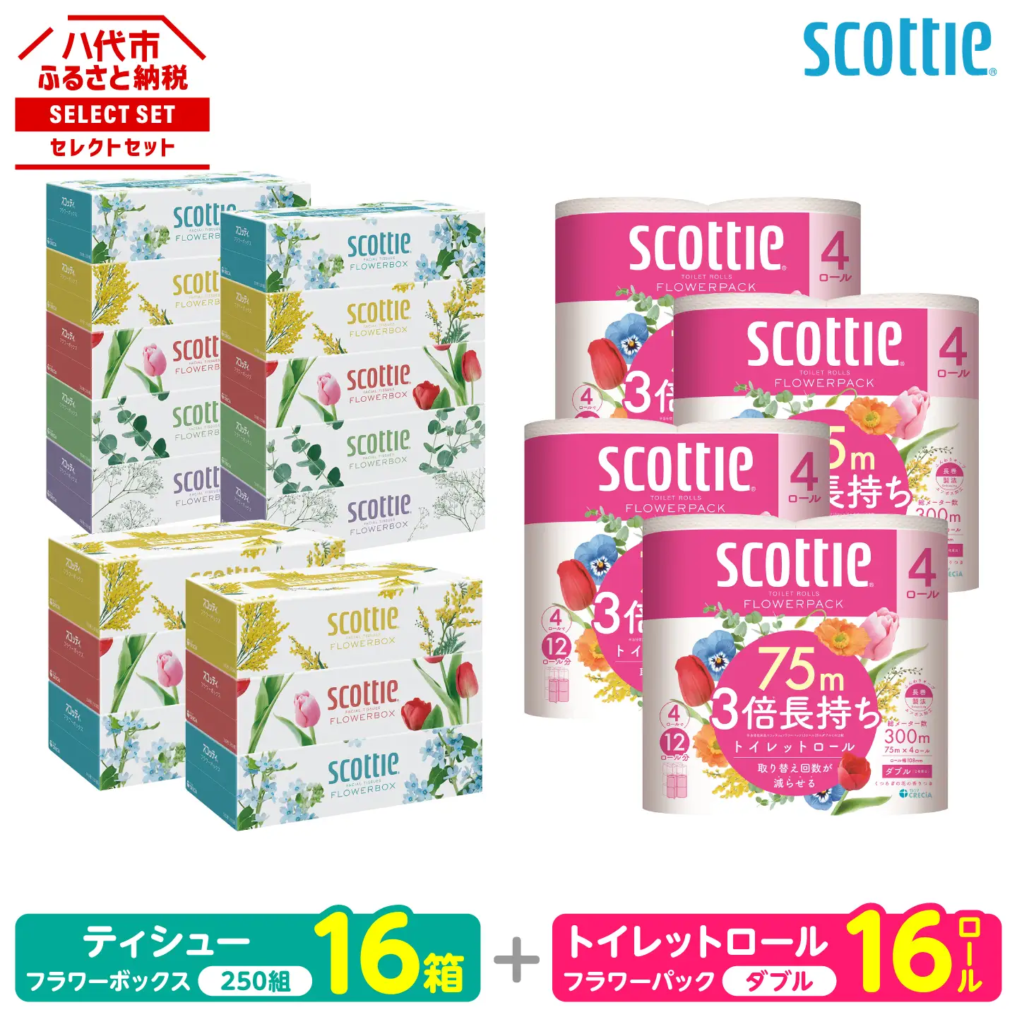 スコッティ トイレットペーパー ティッシュ 組み合わせ トイレットロール ダブル 16ロール ティシュー 16箱