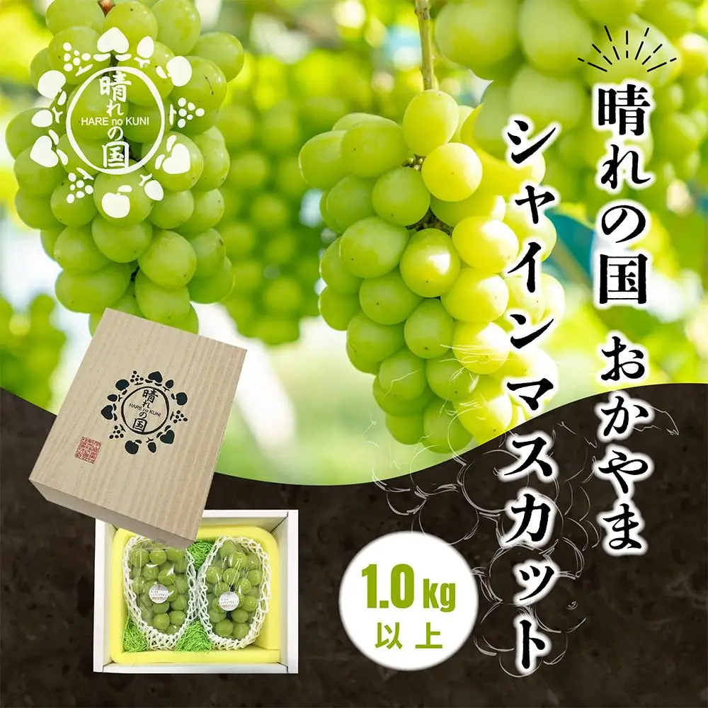 【先行予約 秋季 2026年9月上旬発送～】岡山県産シャインマスカット1.0kg（2～3房）【021-a019】